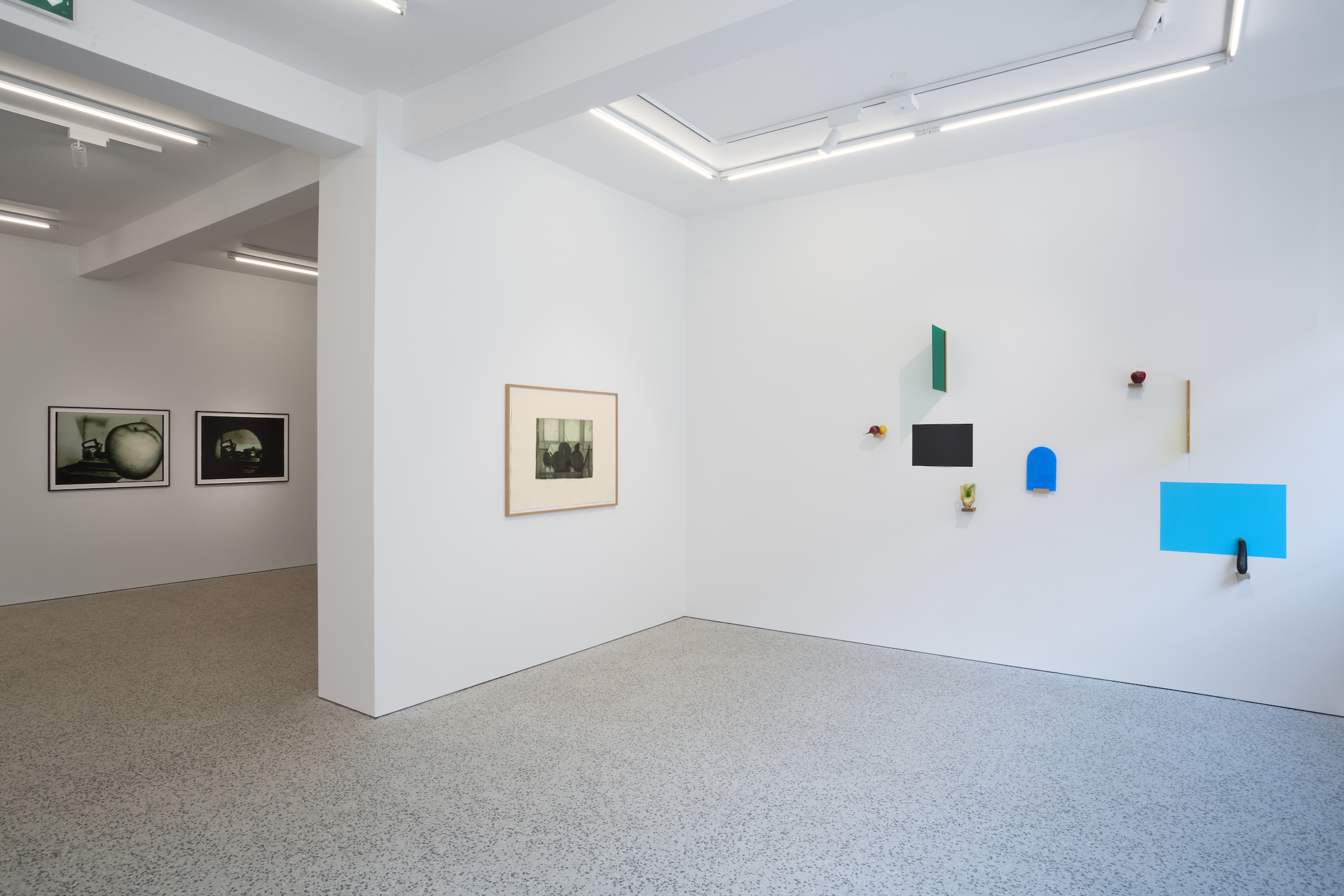 Marta Skoczeń Skoczen exposition collective Reykjavik Berg Contemporary